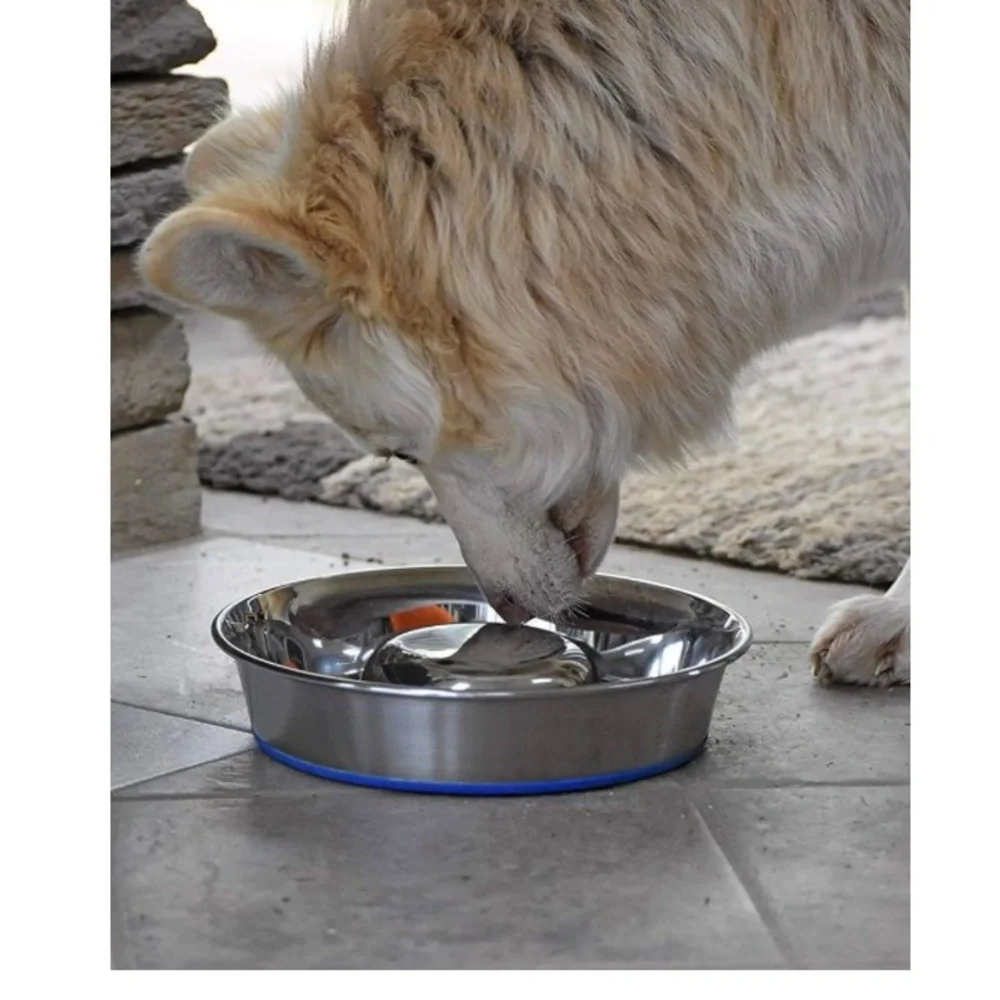 Stainless Steel Anti-Spill Pet Bowl